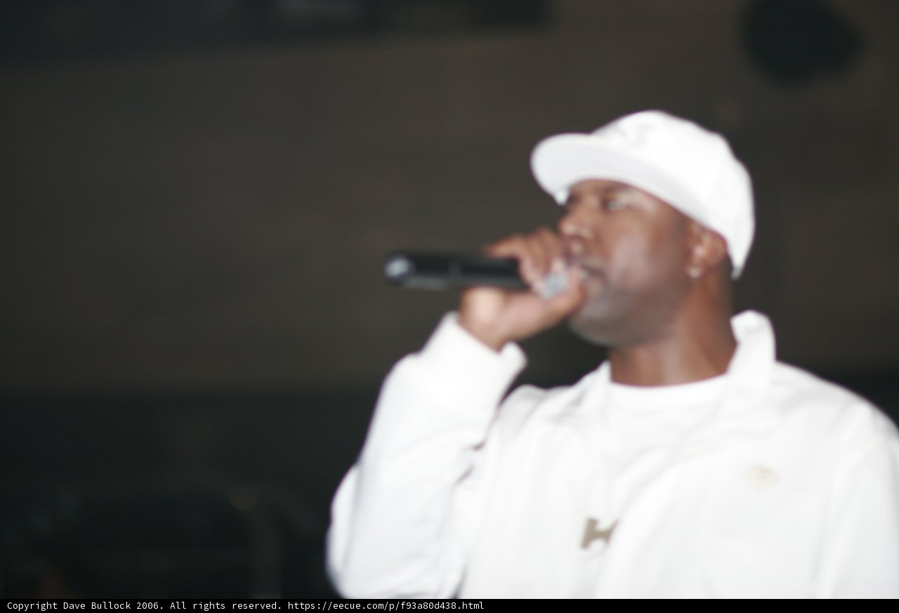 Entertainer with a Mic