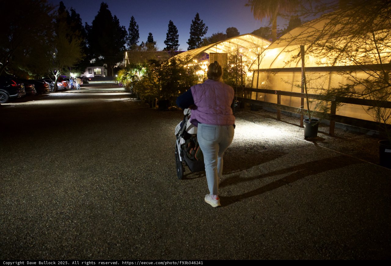 Evening Stroll in the Garden of D’Lights