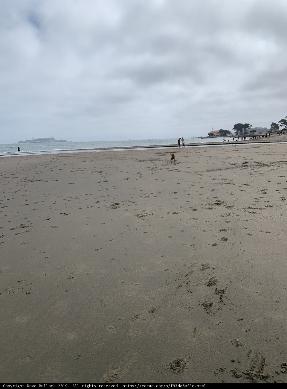 Running Free