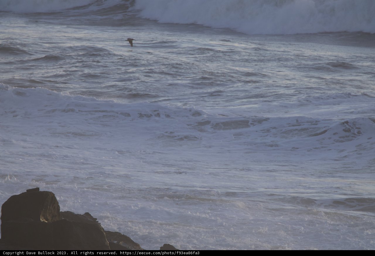Conquering the Pacific Waves