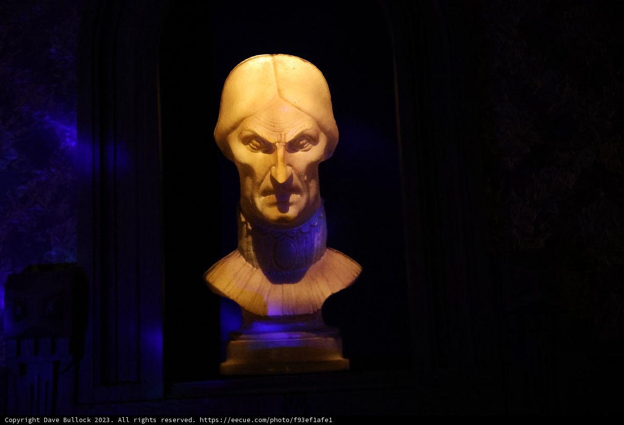 The Enigmatic Head
