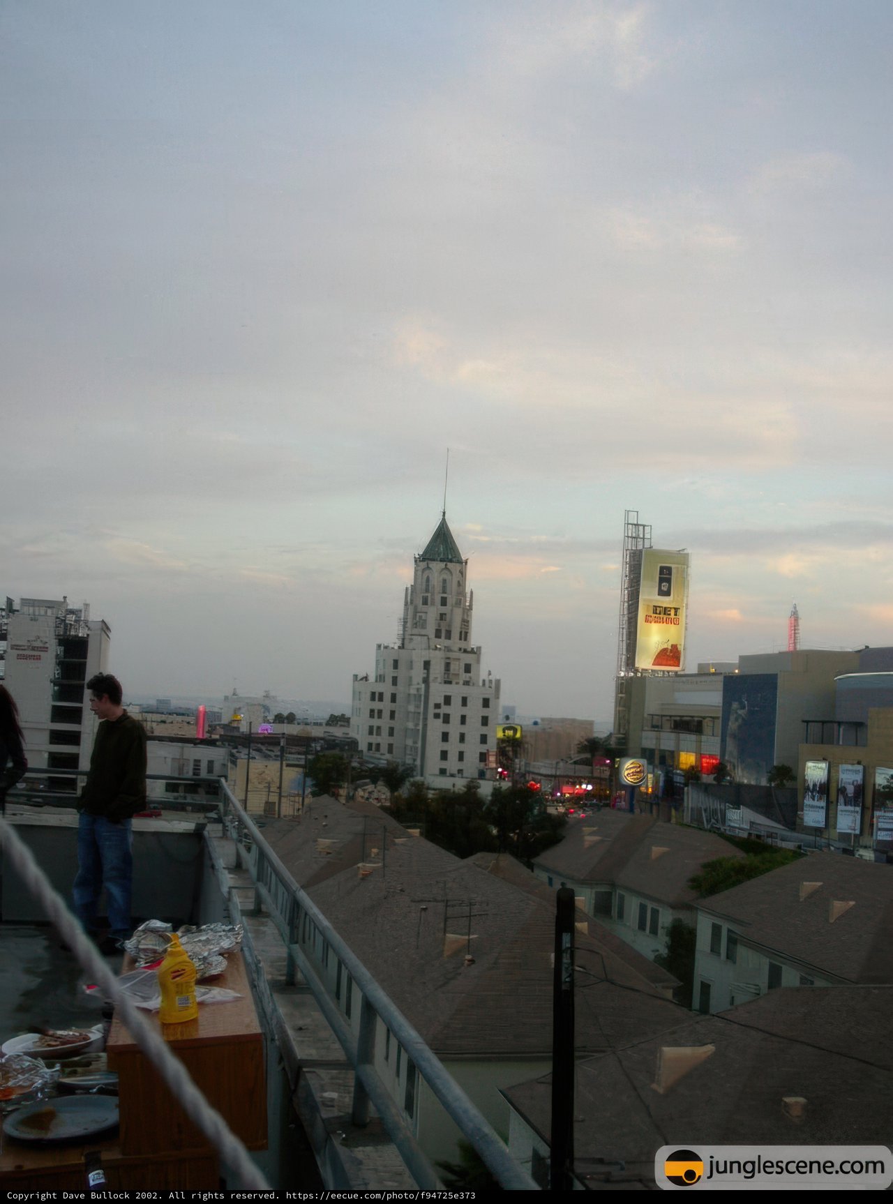 Overlooking the Urban Jungle
