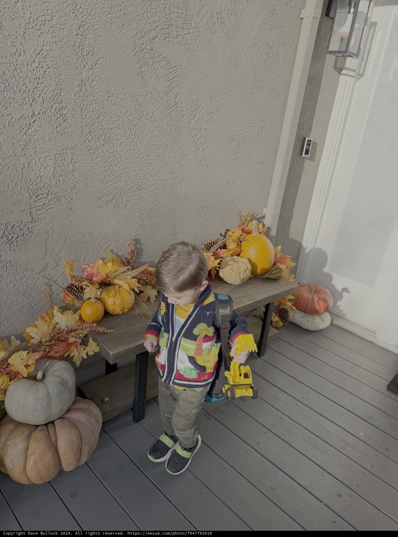 Autumn Afternoon Adventures