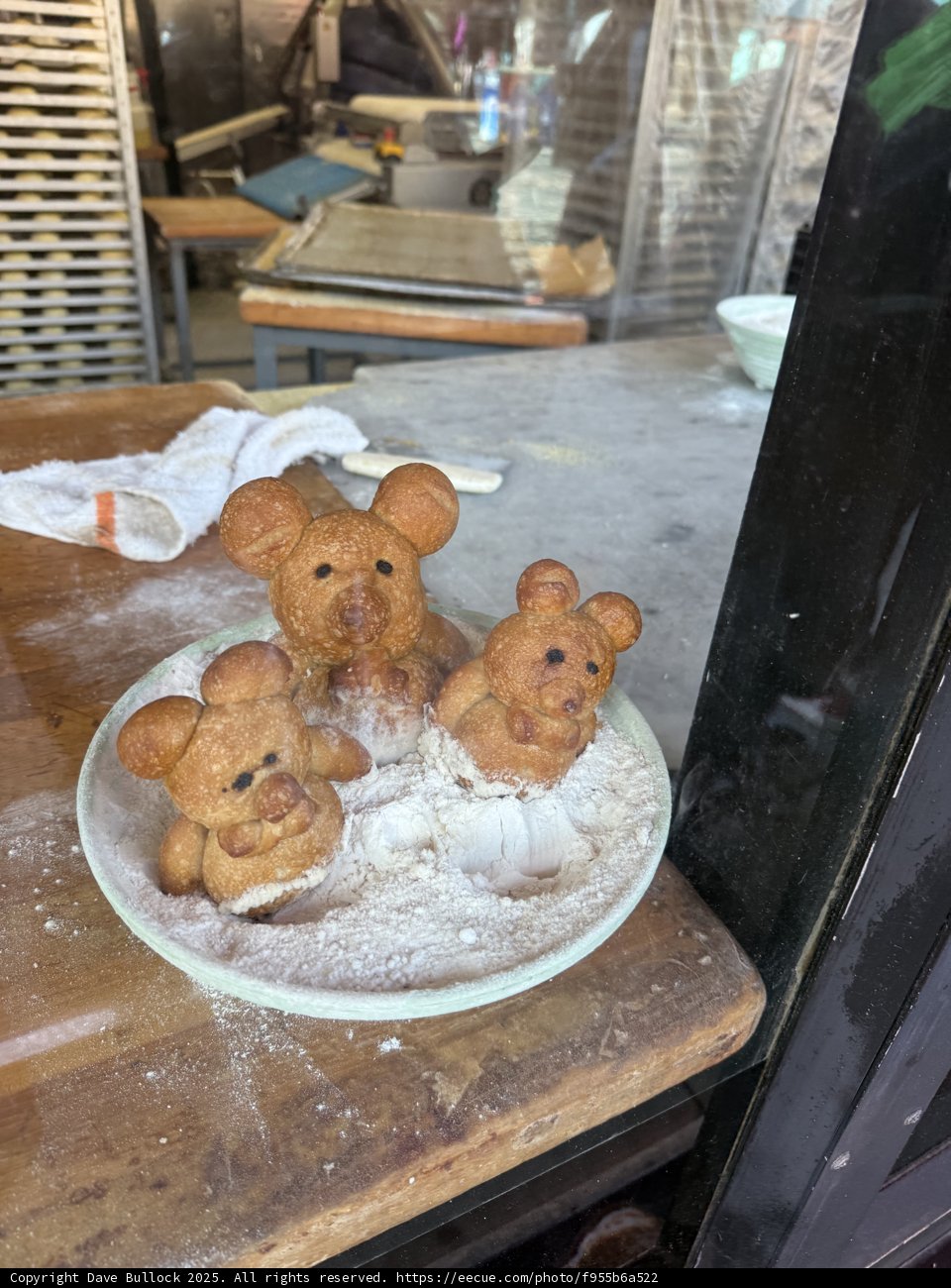 Bears in the Bakery