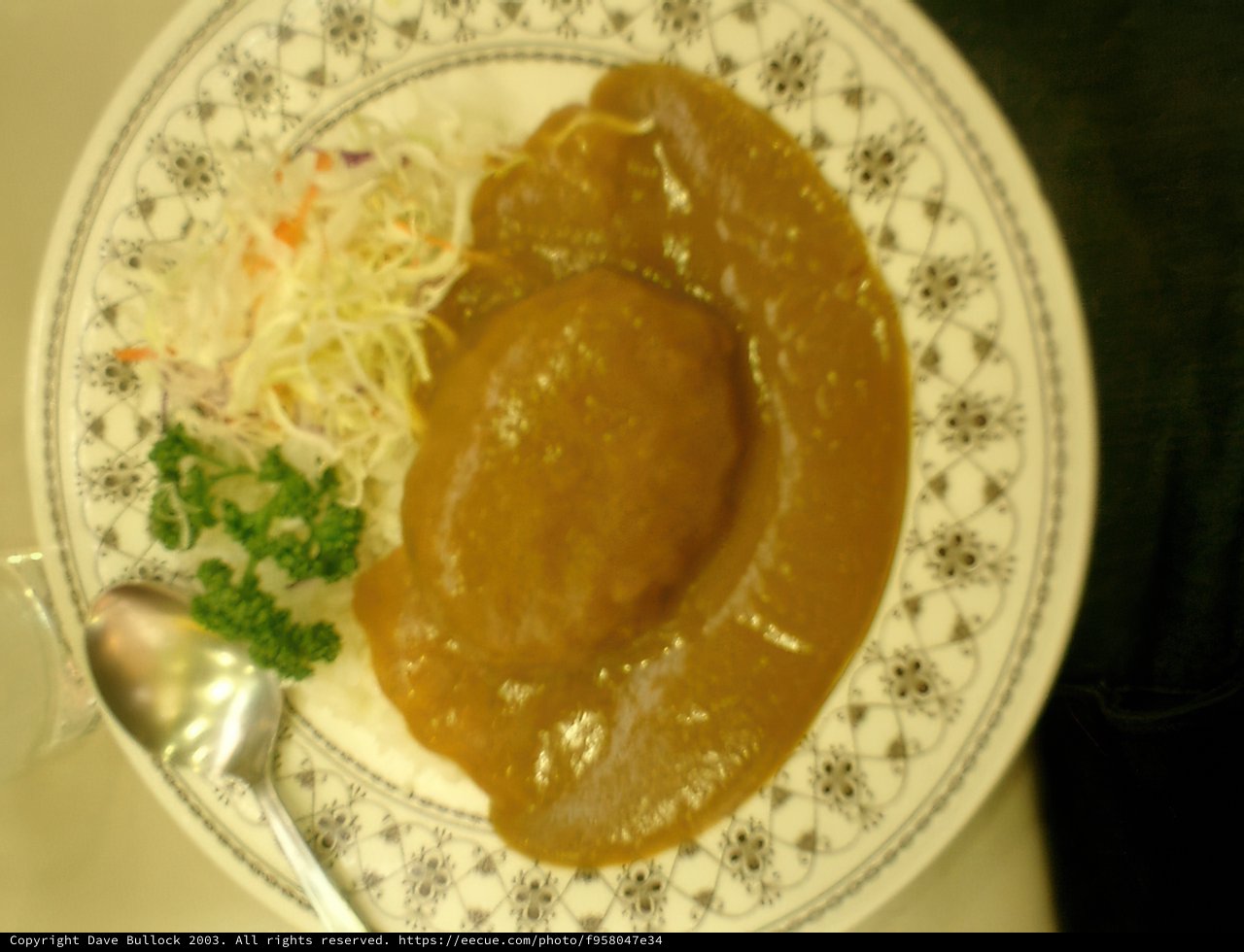 A Delicious Bowl of Japanese Curry