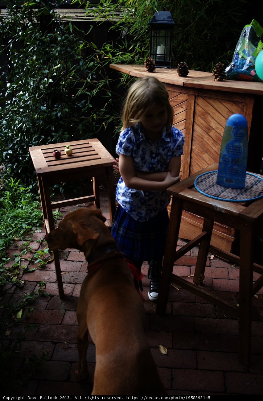 Little Girl and Her Furry Friend