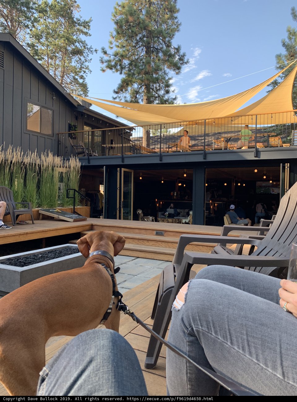 Patio Pals