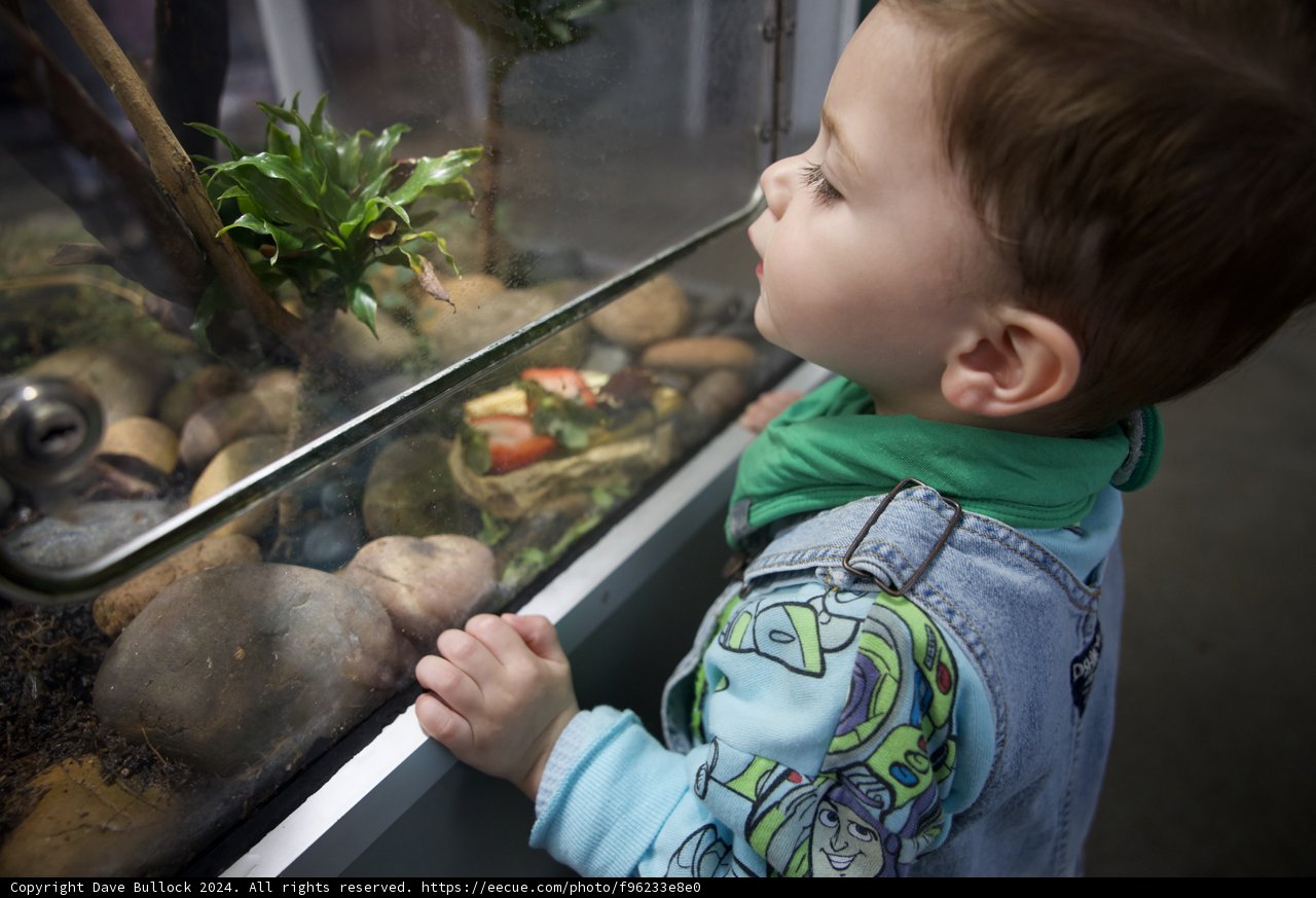 A Journey of Discovery: Curiosity at Play