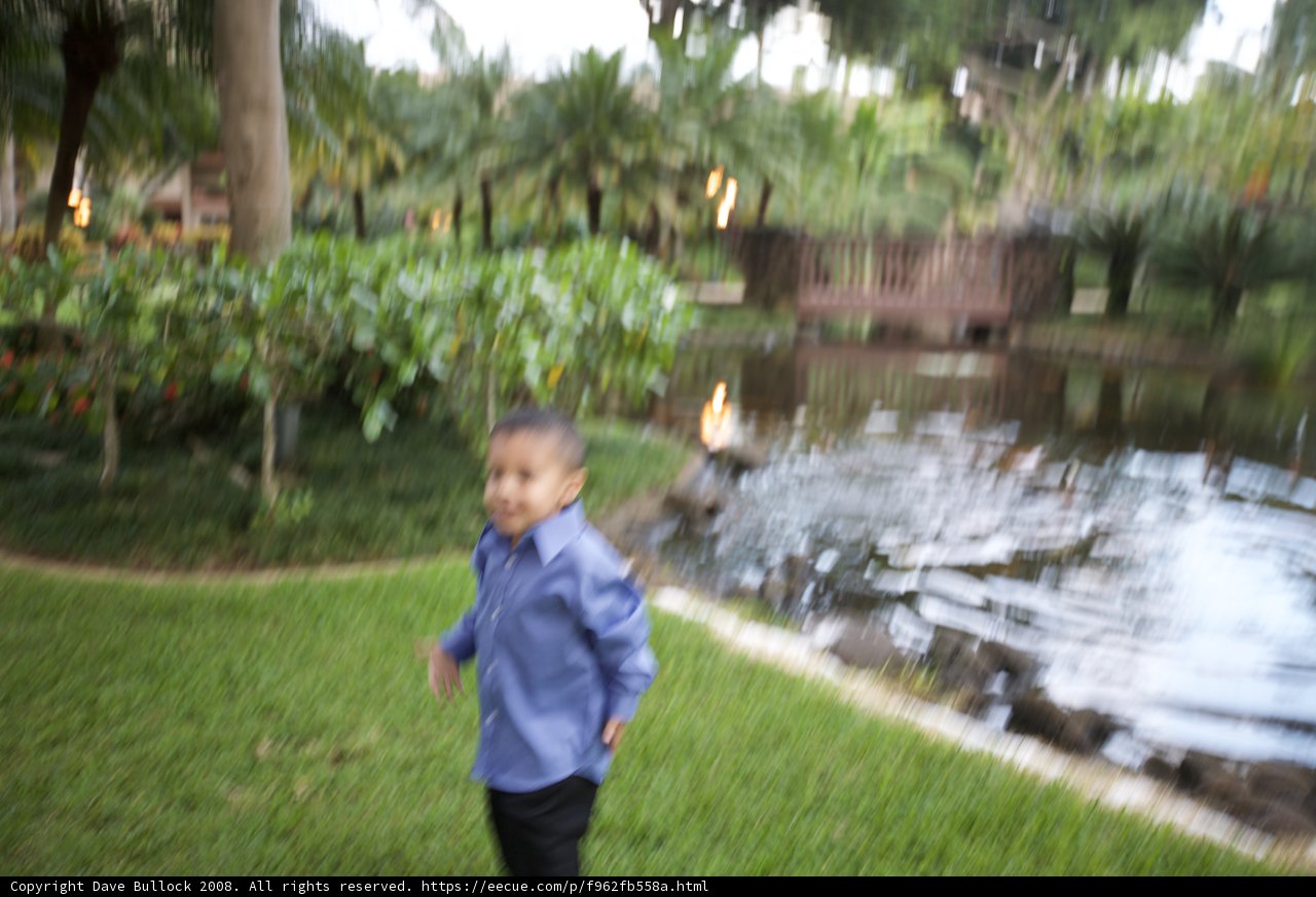 Running Free in Hawaii