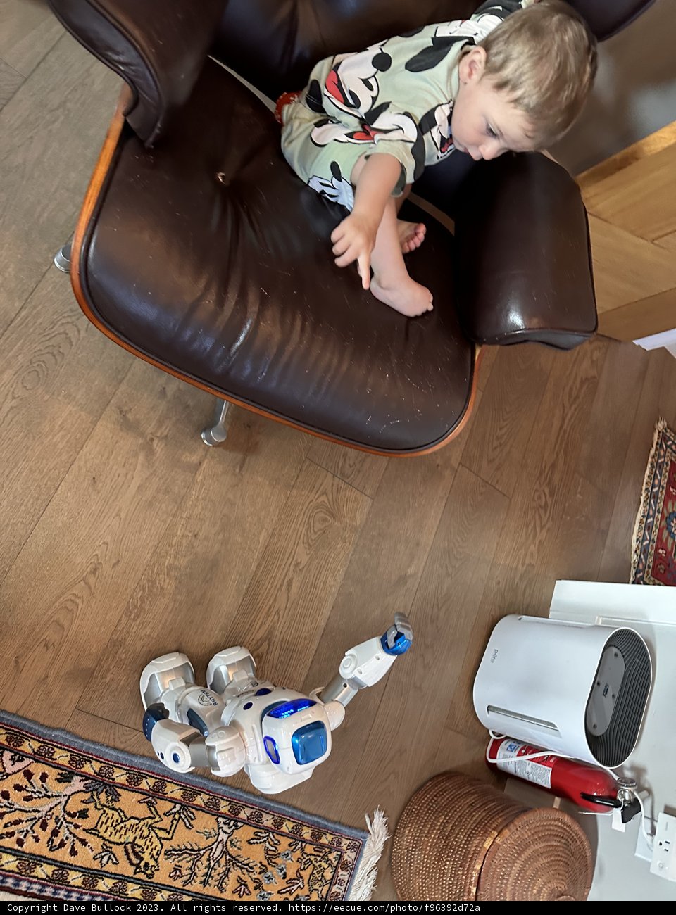 Wesley's Robotic Adventures