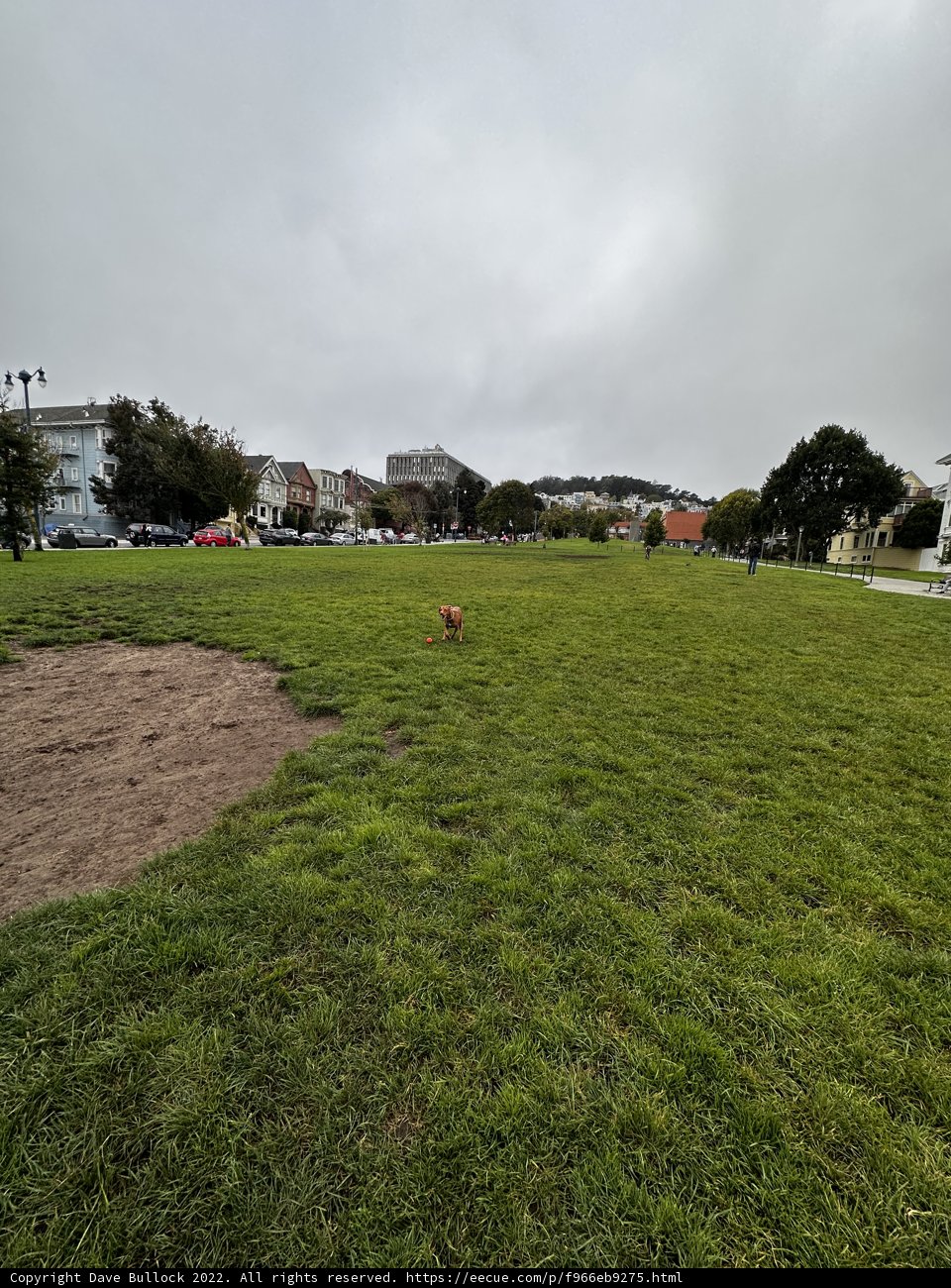 Fun in the Park