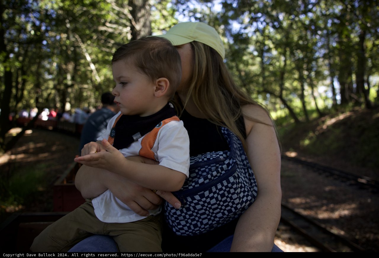 Woodland Train Ride Embrace