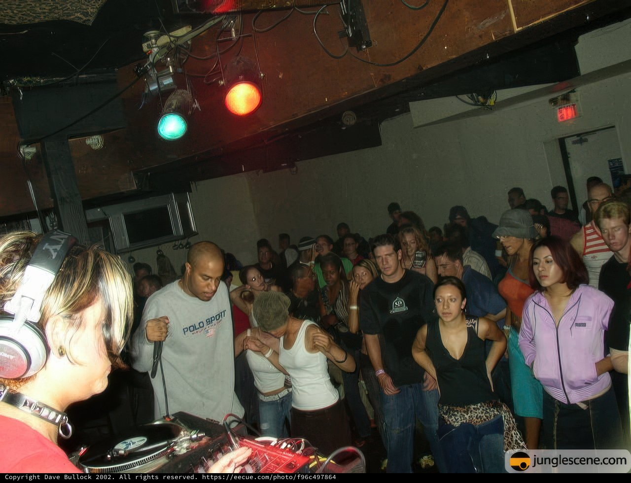 Party Tunes at the Nightclub