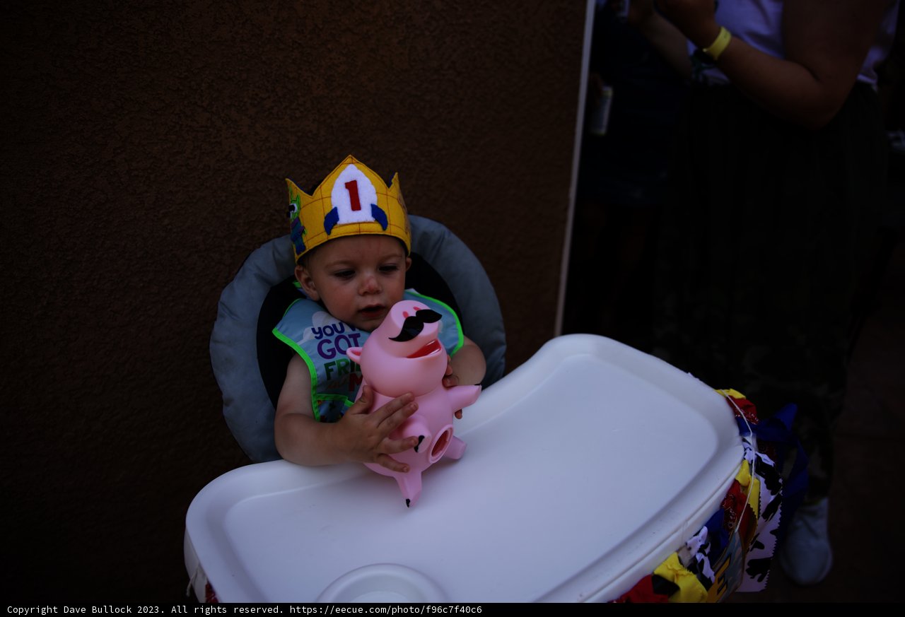 Baby Royalty: Wesley's First Birthday Celebrations