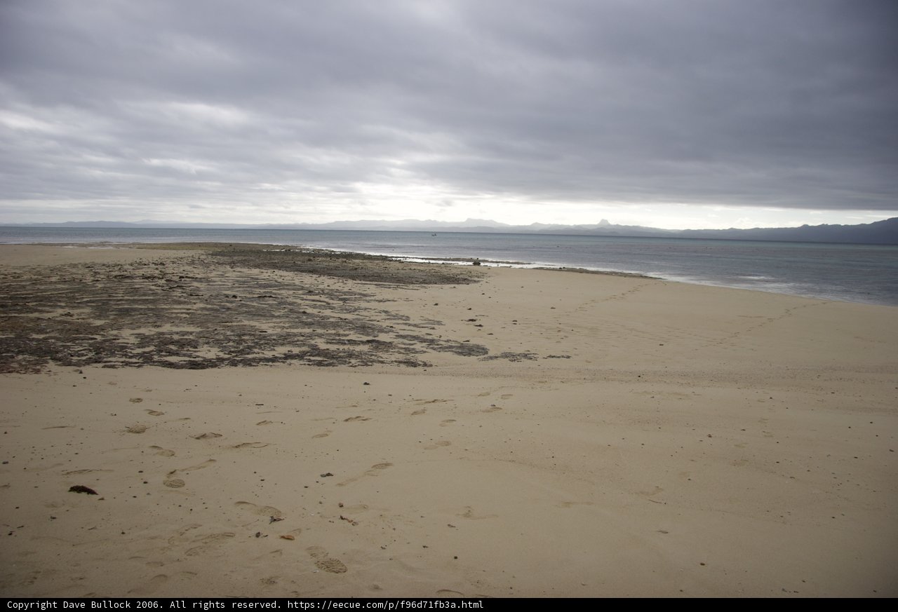 Footprints in the Sand