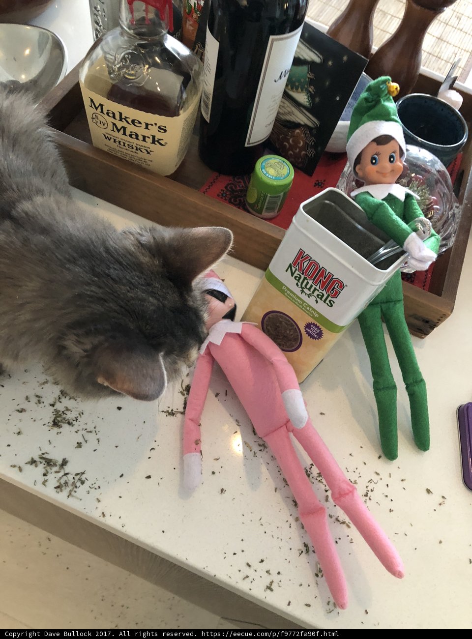 Curious Cat and the Elf Doll