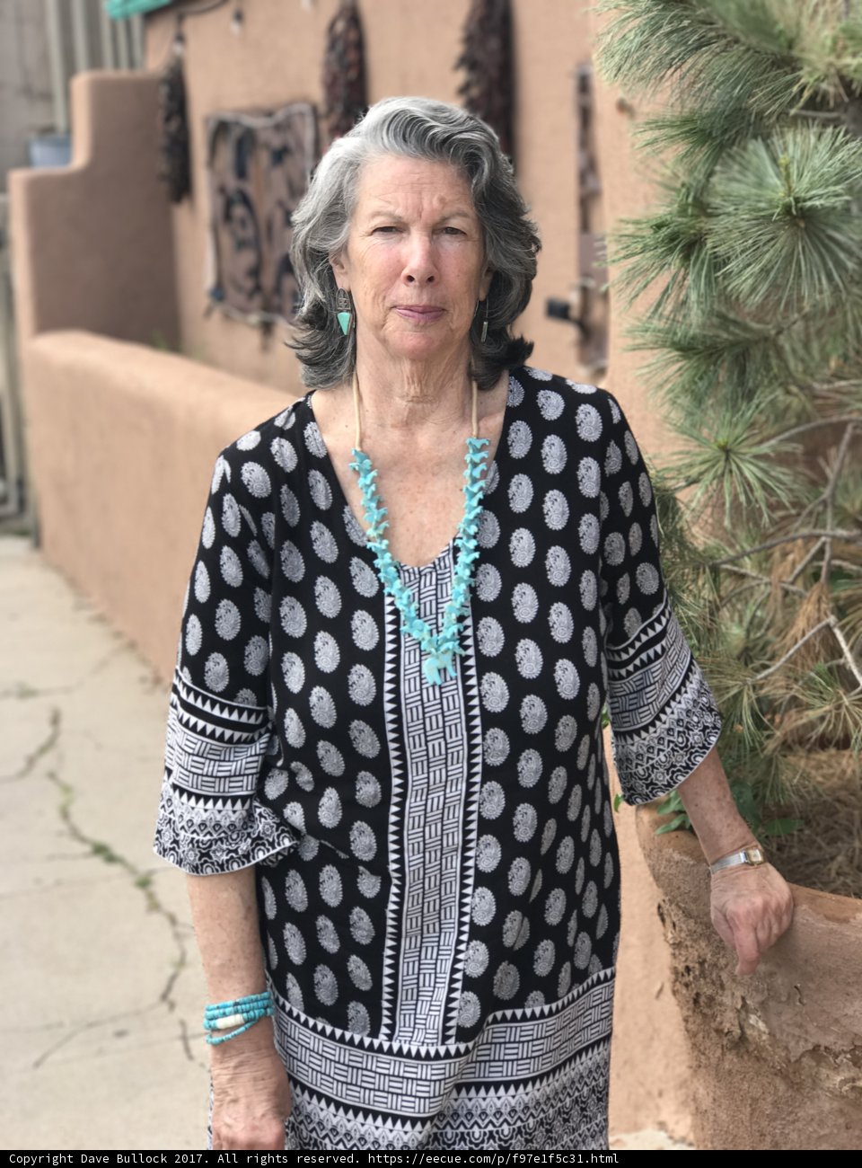 A Lady with Turquoise