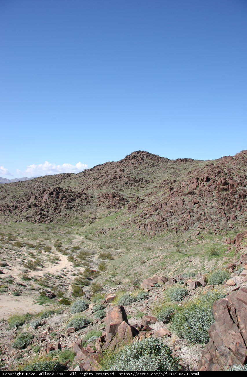 A Rocky Plateau in the Wilderness