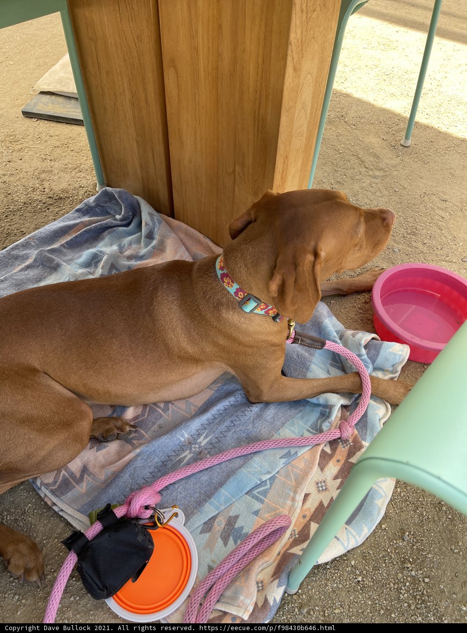 Lazy Summer Days