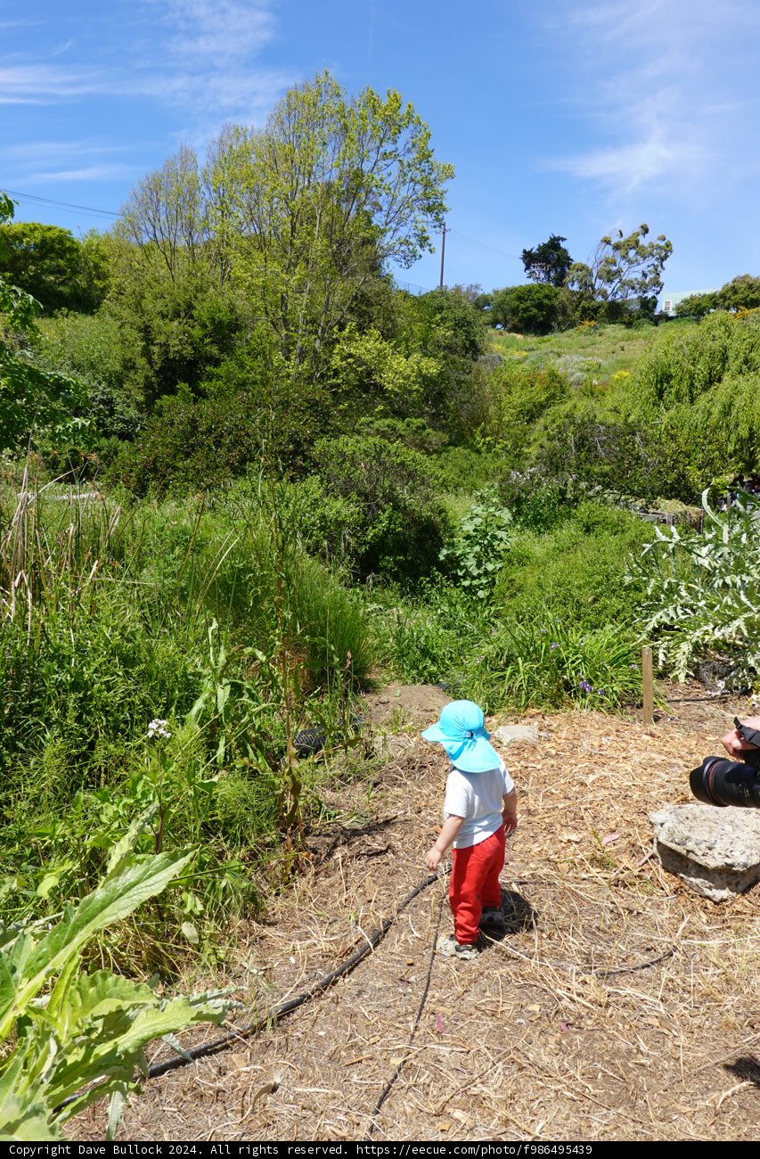 Little Explorer's Garden Adventure