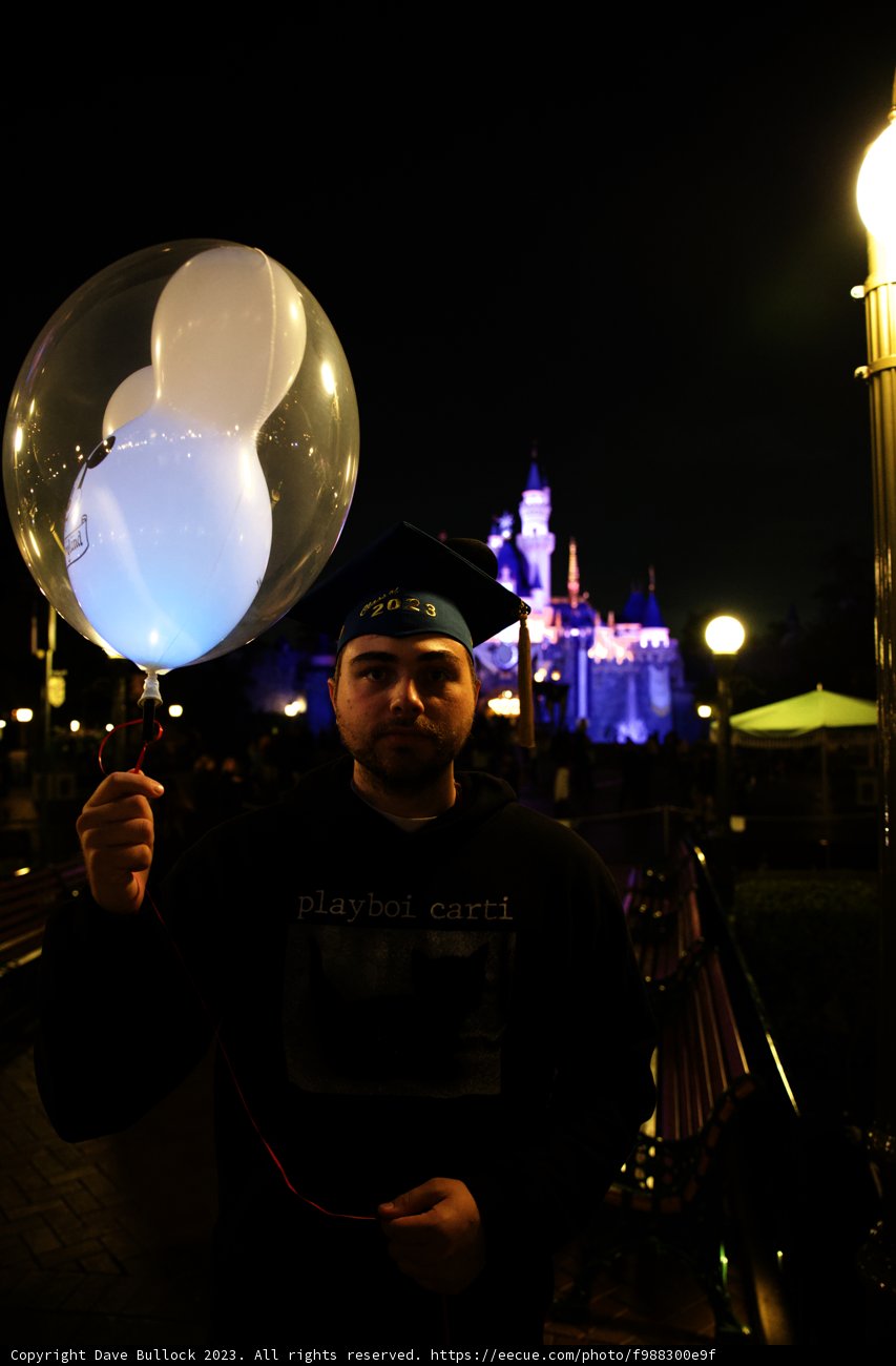 Magical Night at the Castle