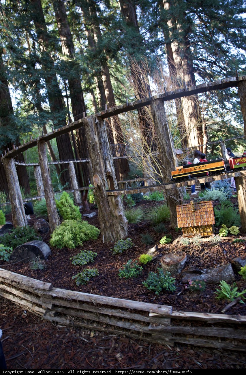 Enchanted Woodland Railway