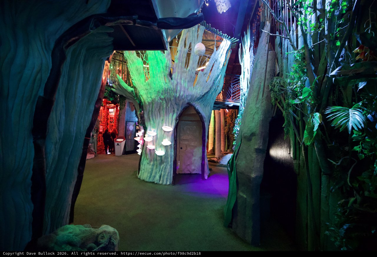 Whimsical Tree House Installation in Immersive Art Museum