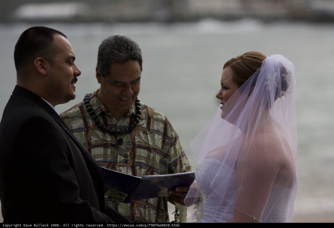 Exchanging Vows at the Hawaiian Beach