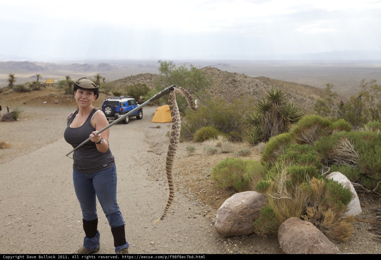 A Teen Girl Tames the Wild: Holding a Snake in the Desert