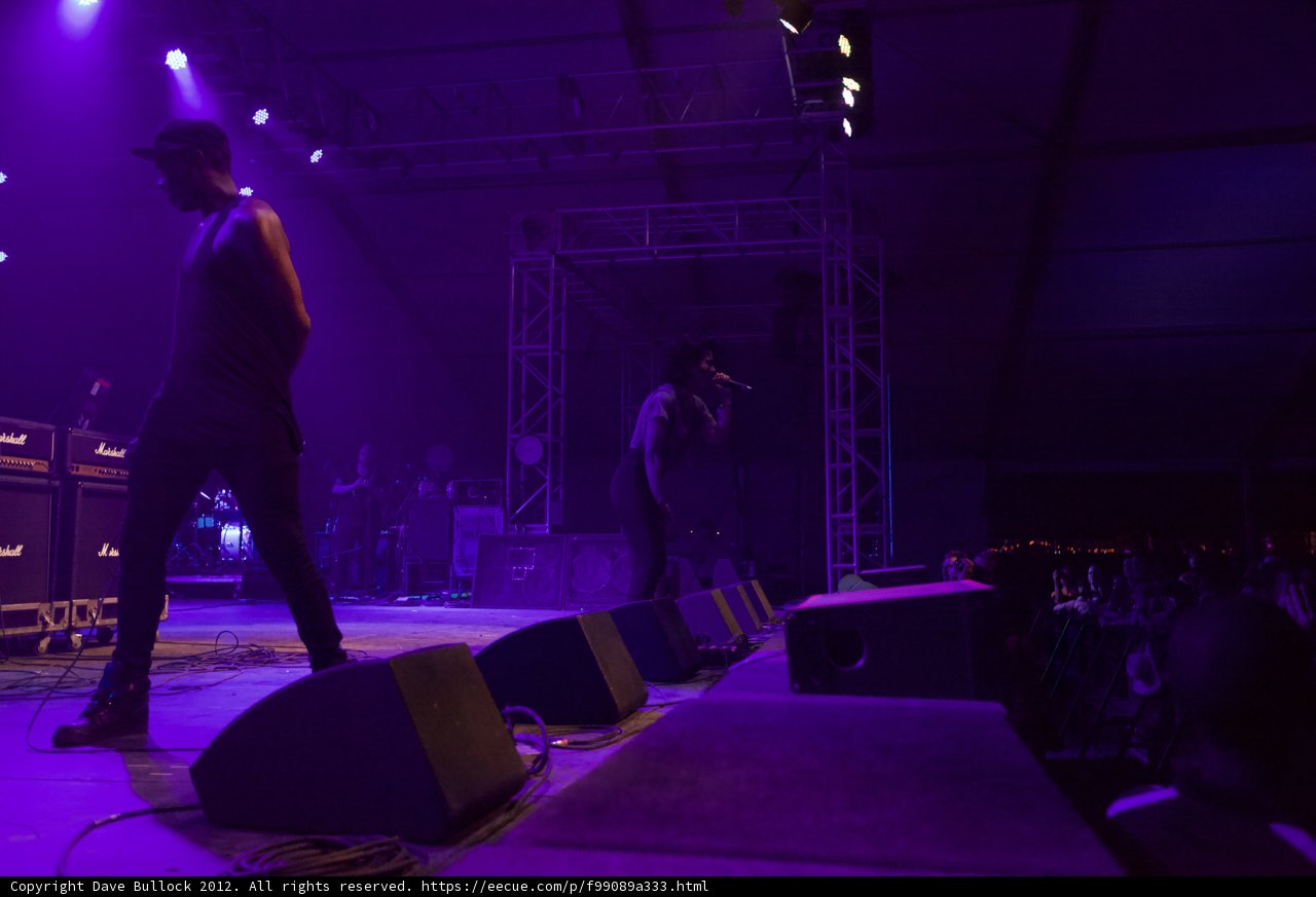 Rocking Out at Coachella