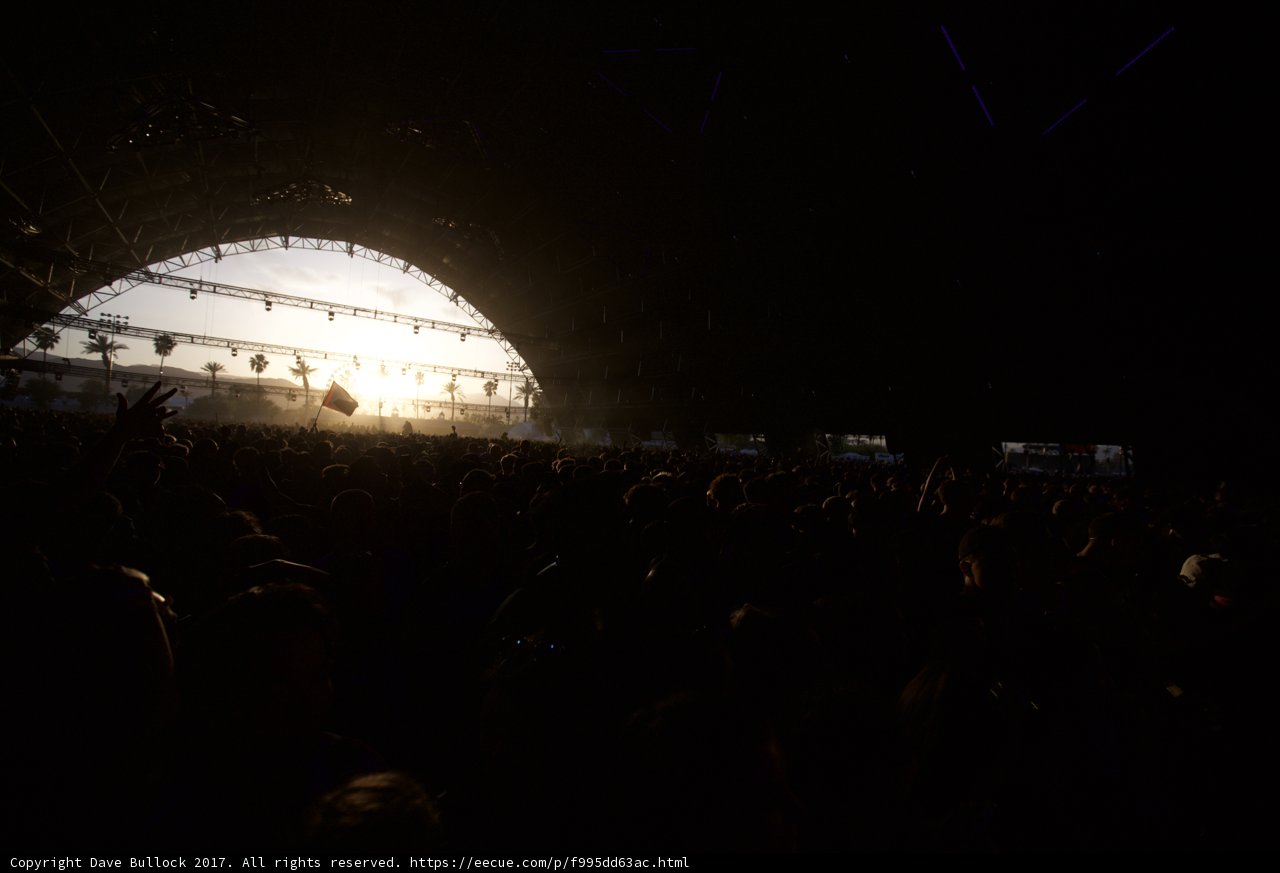 Sunlit Crowd at Coachella Concert