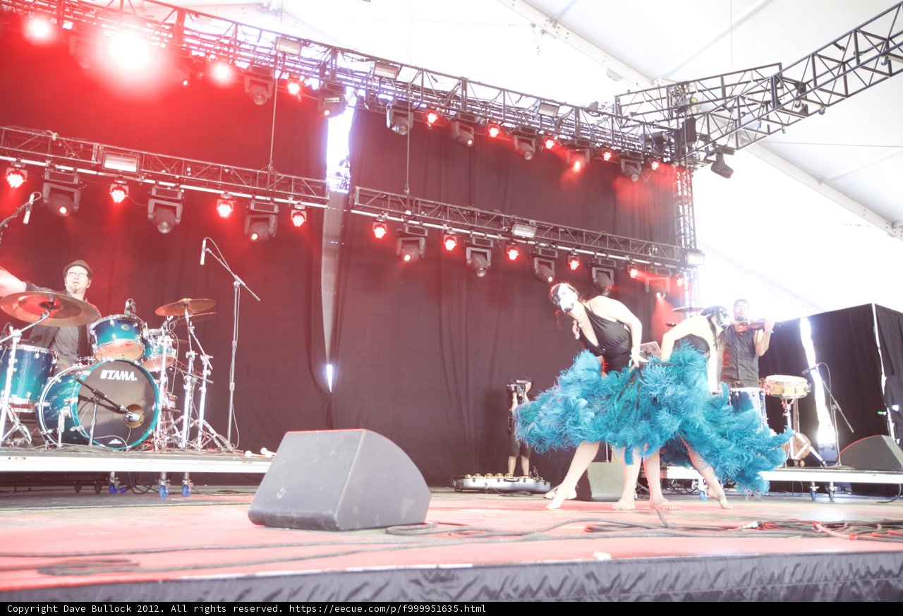 Blue Feathers Dance