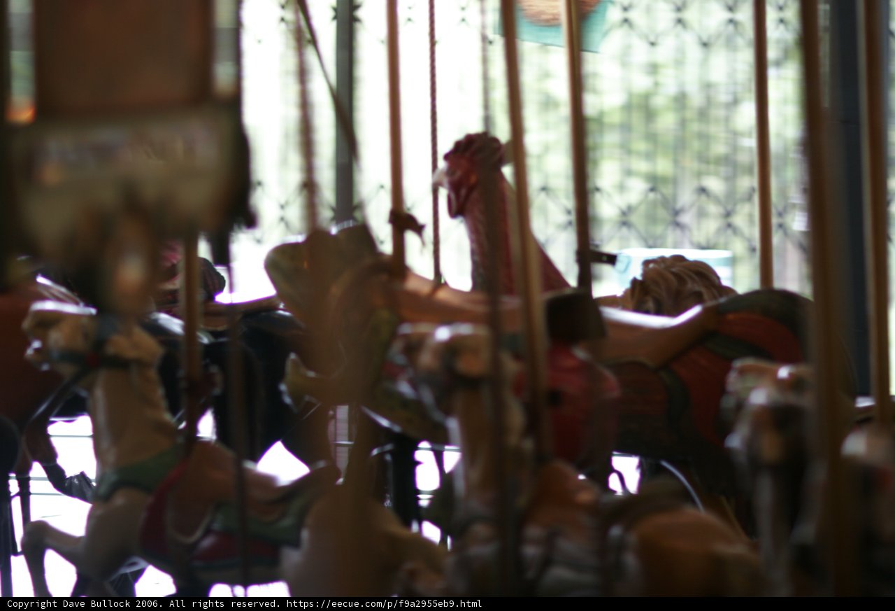 Carousel fun at the Amusement Park