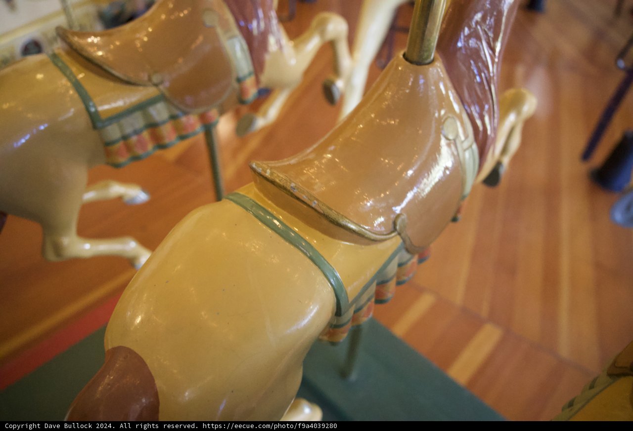 Whimsical Ride - Carousel Close-Up