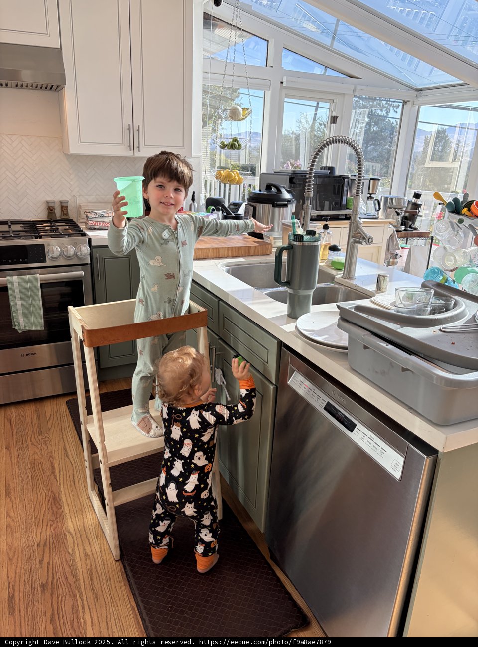 Morning Mischief in the Kitchen