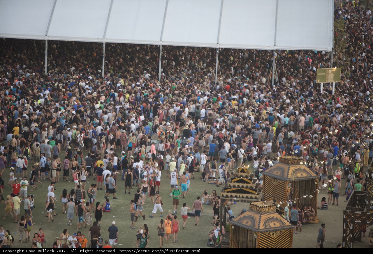 Party in the Desert