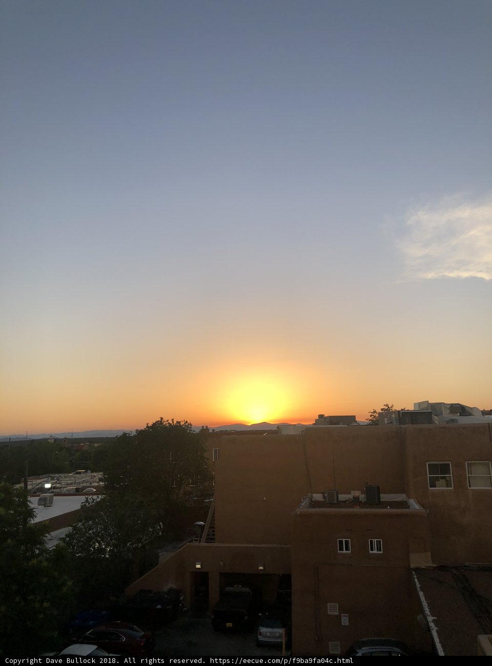 Urban Oasis at Sunset