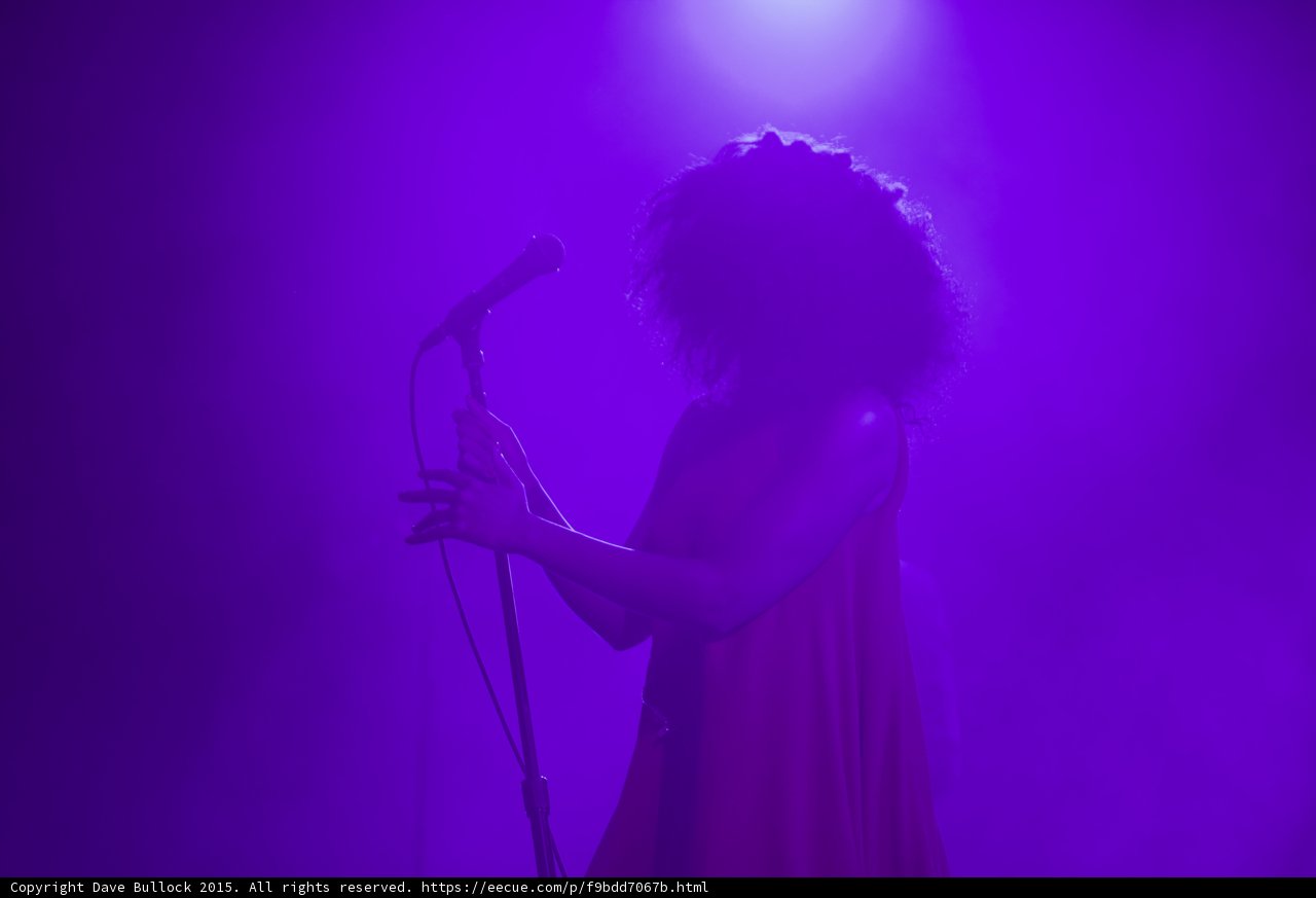 Florence Welch Profile Intimate Singing Purple