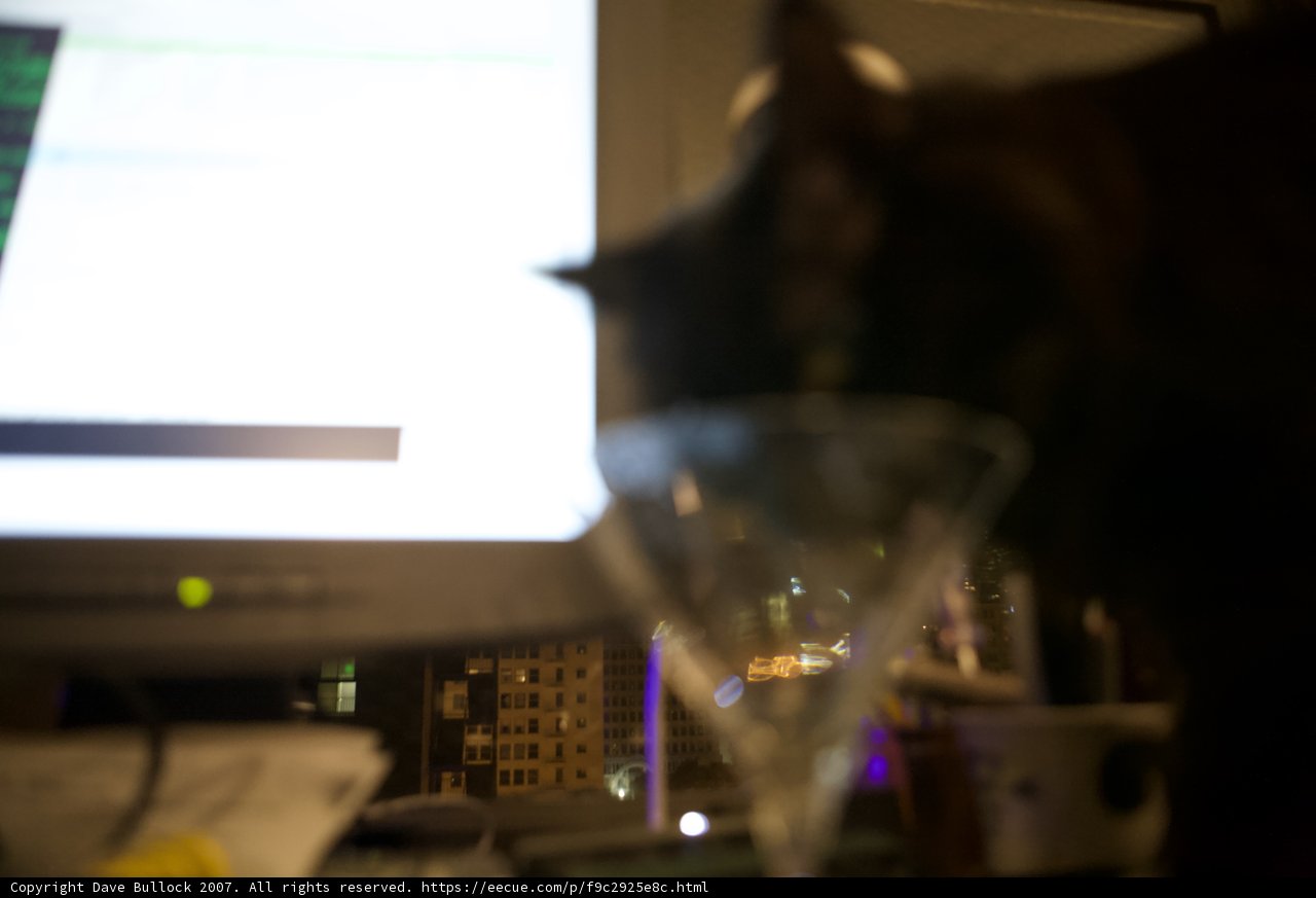 Feline Critic