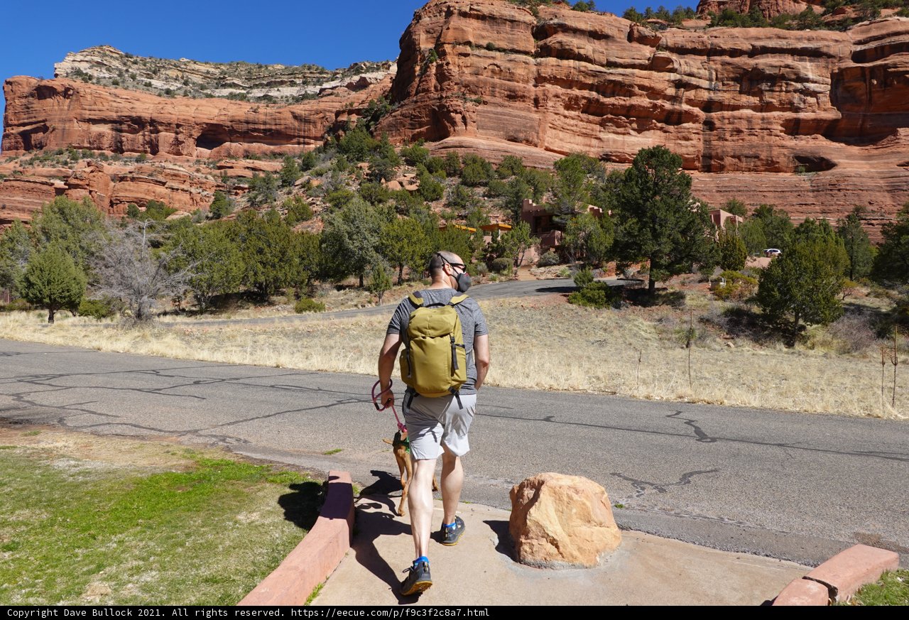 Hiking Adventure with Man's Best Friend