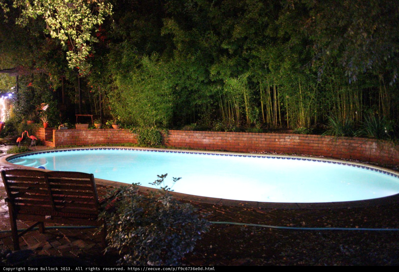 Resort-style Backyard Pool