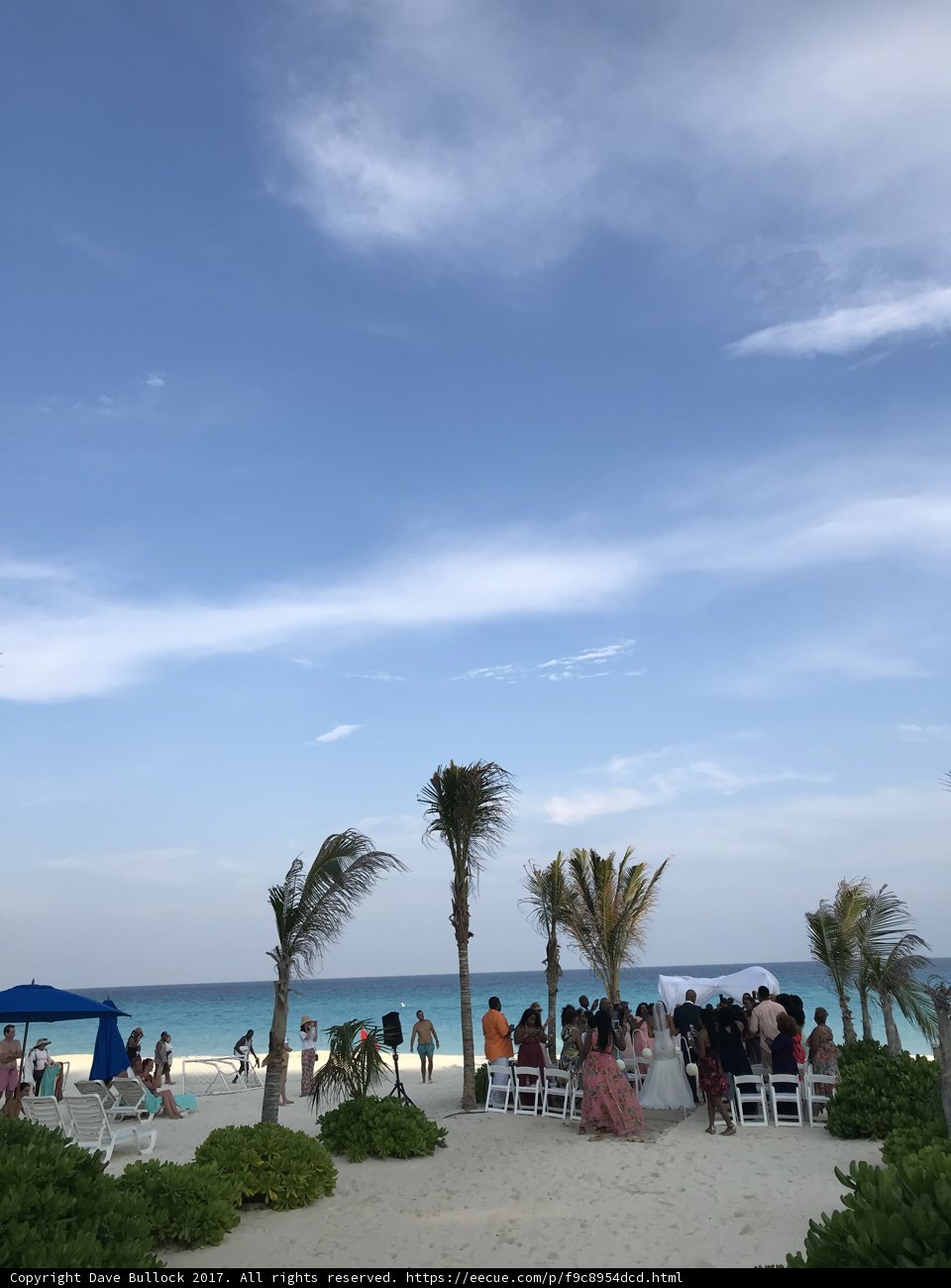 Beach Wedding Bliss