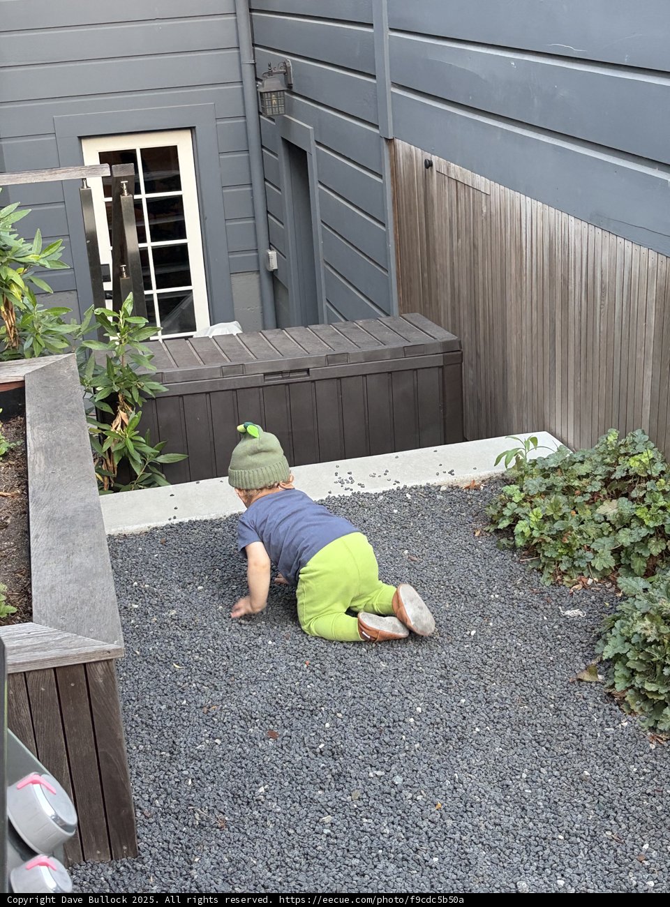 Exploring the Urban Jungle