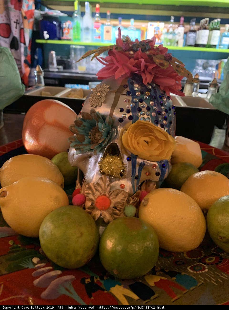 Citrus Skull