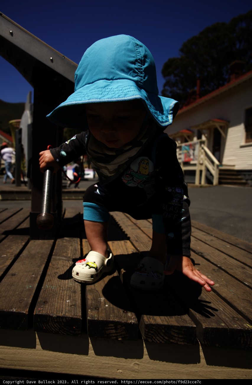 Summer Serenity: A Playful Day Outdoors