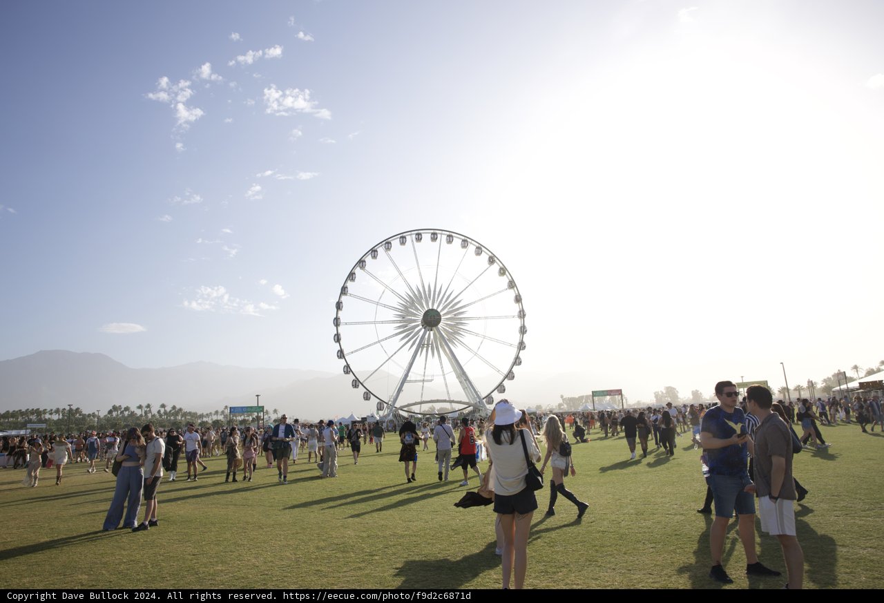 Sunny Afternoon at Coachella 2024