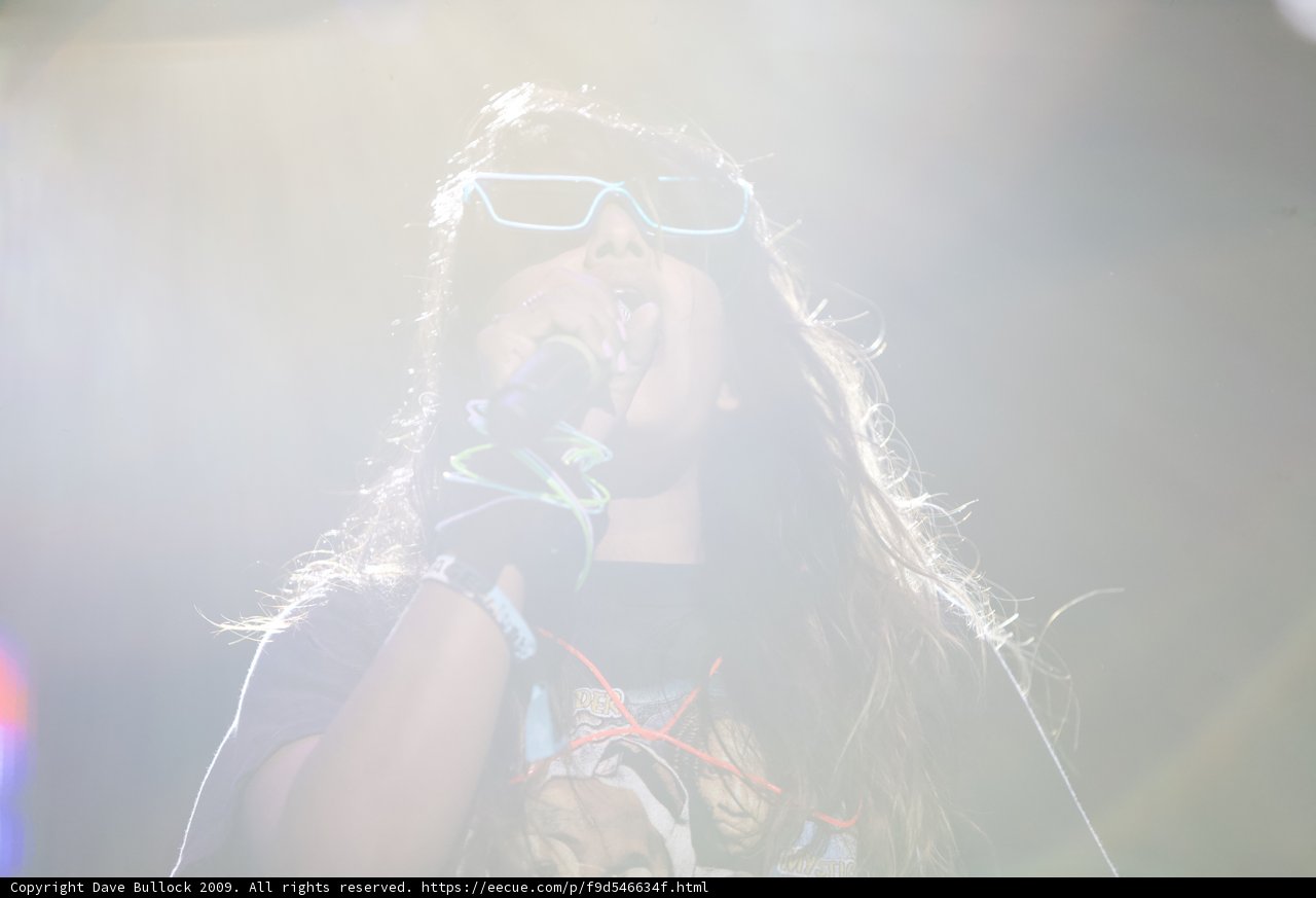 Sunglasses Serenade at Coachella 2009
