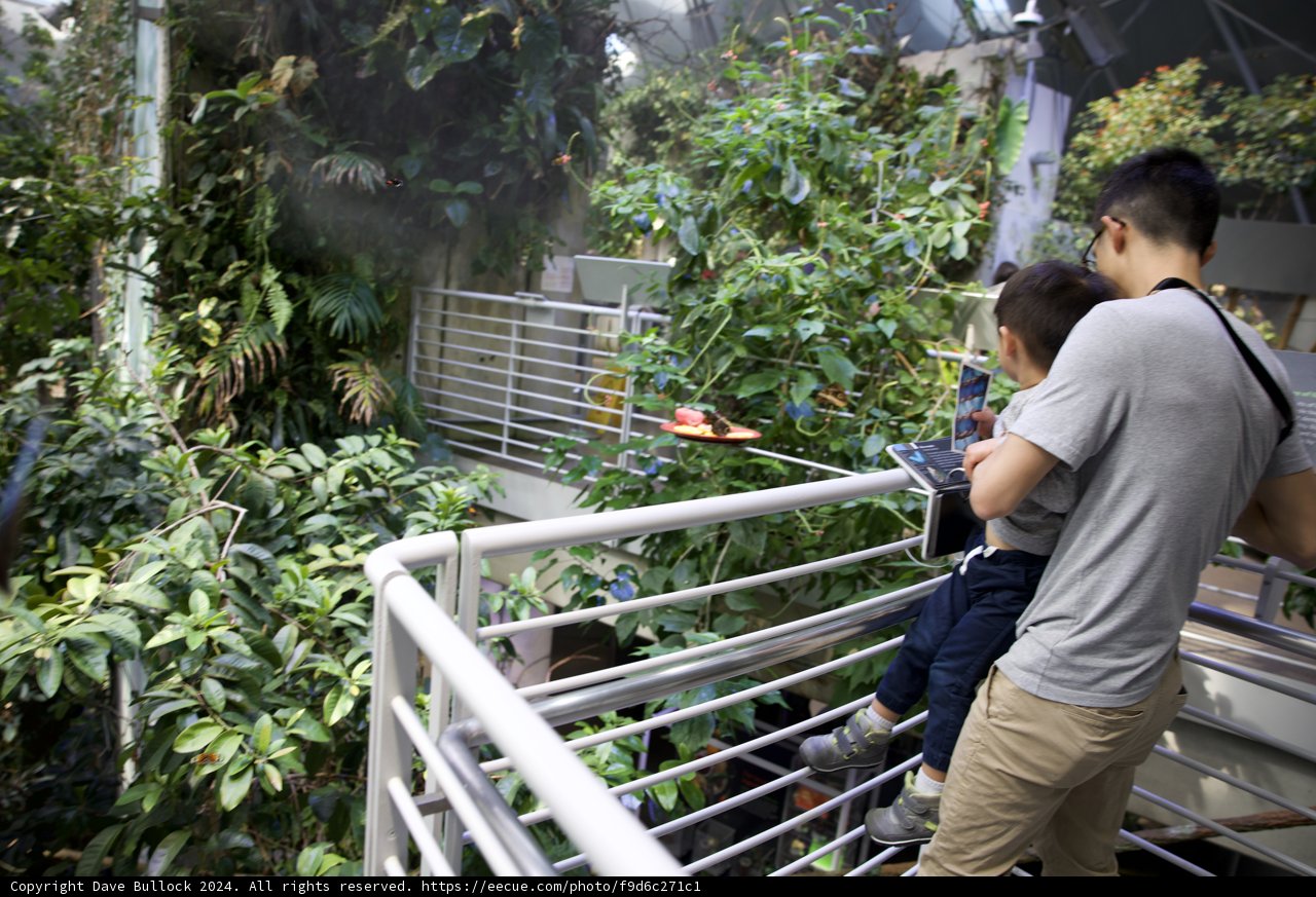 Exploring Nature from Homes - A Father-Son Moment