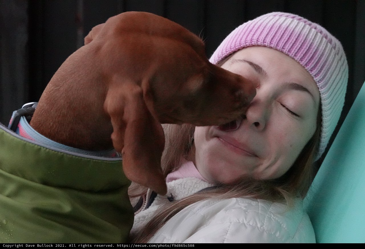 Tender Moment Between Woman and Puppy