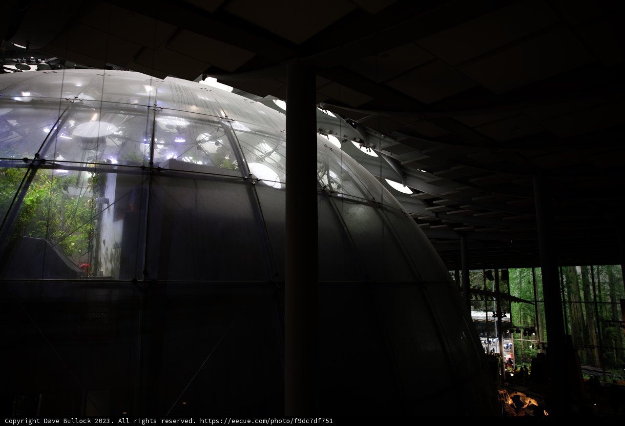 Timeless Elegance at the California Academy of Sciences